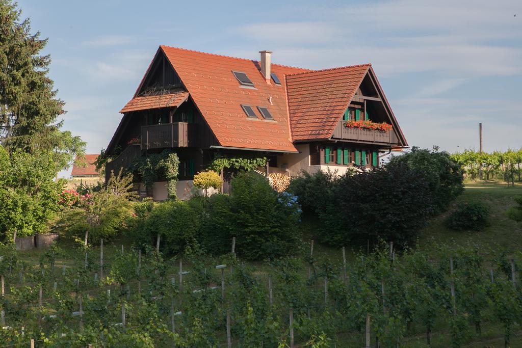 Ferienhaus Neubauer Spielfeld Luaran gambar